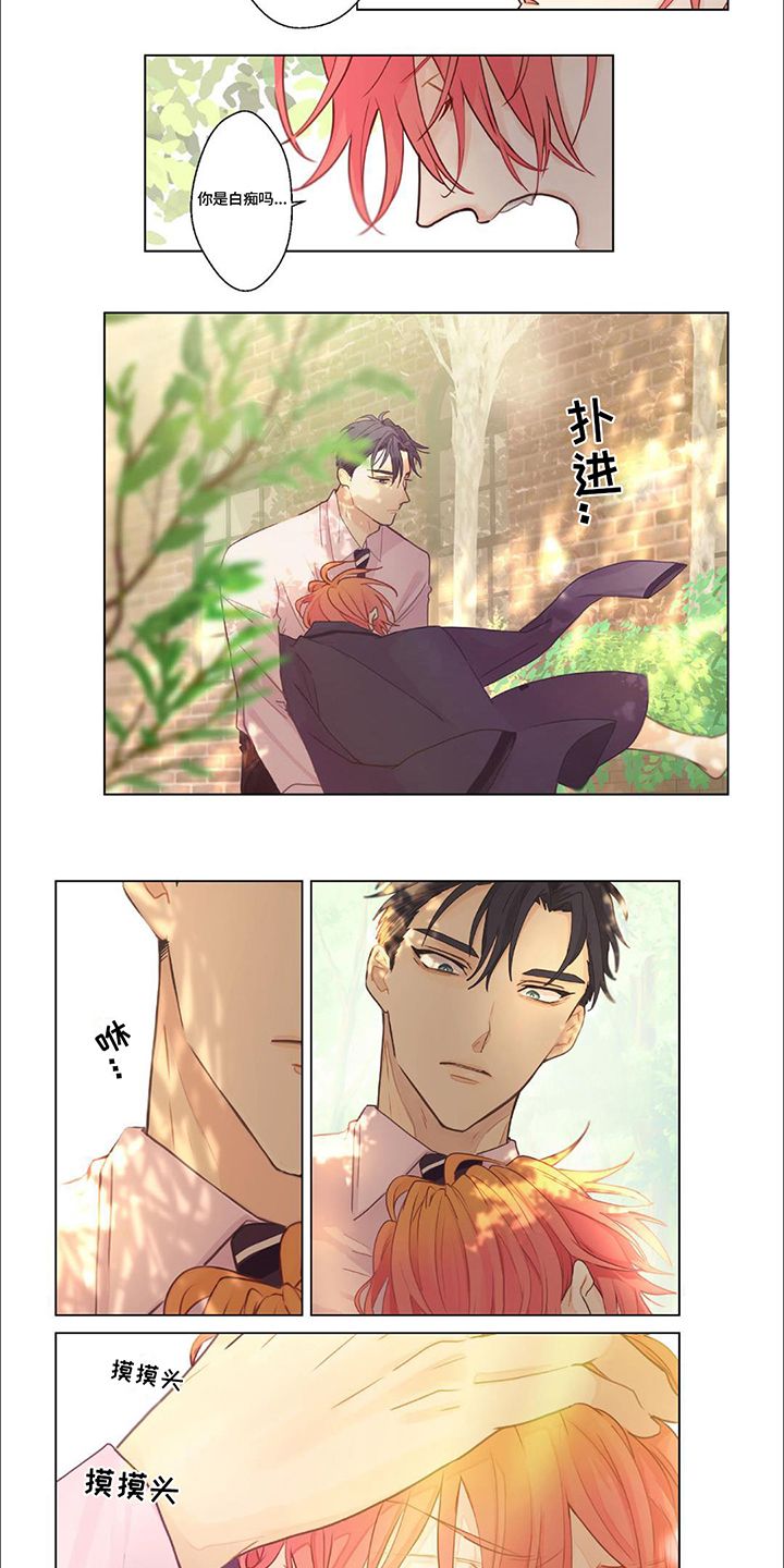 兴奋爆炸漫画什么时候更新漫画,第11话4图