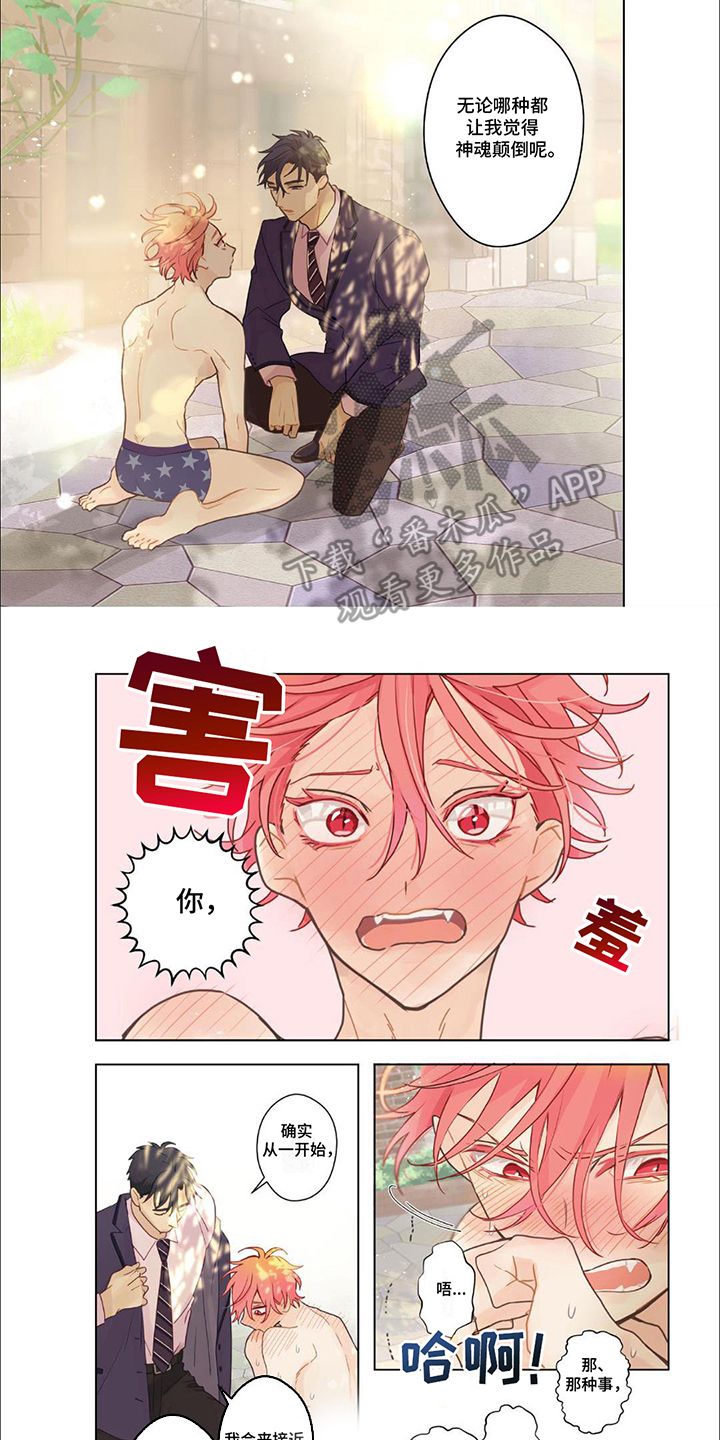 兴奋爆炸漫画什么时候更新漫画,第11话2图