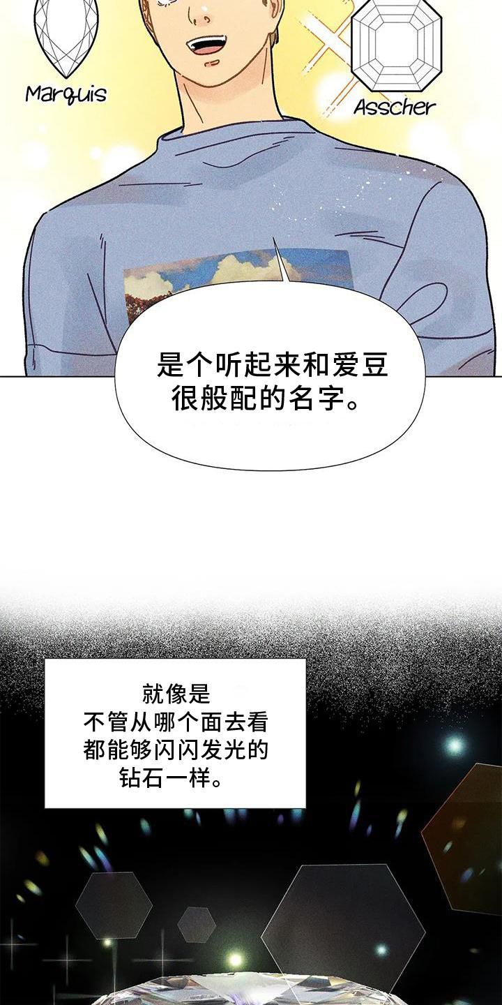 钻石破裂是什么样子的漫画,第26话5图