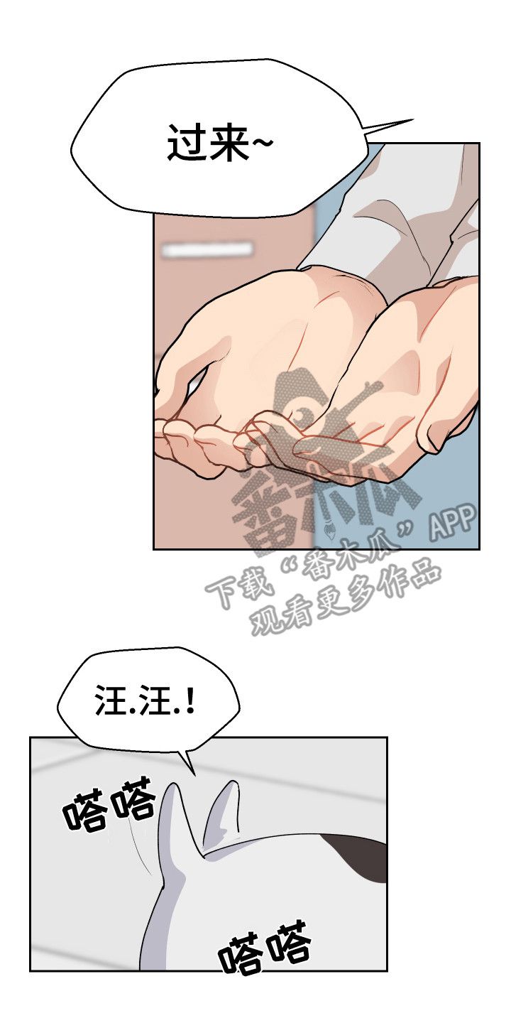 荒唐的念头是什么漫画,第12话1图