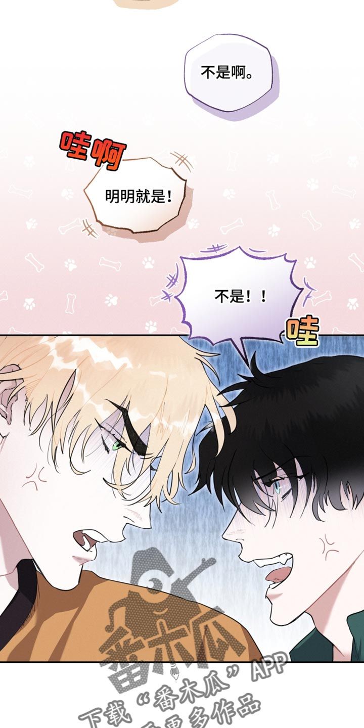 血腥宠儿为什么没有了漫画,第33话4图