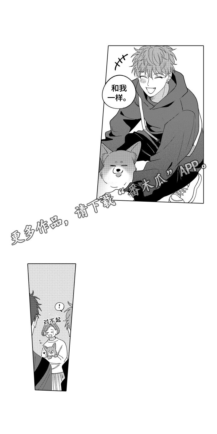 笨狼故事全集漫画,第18话5图