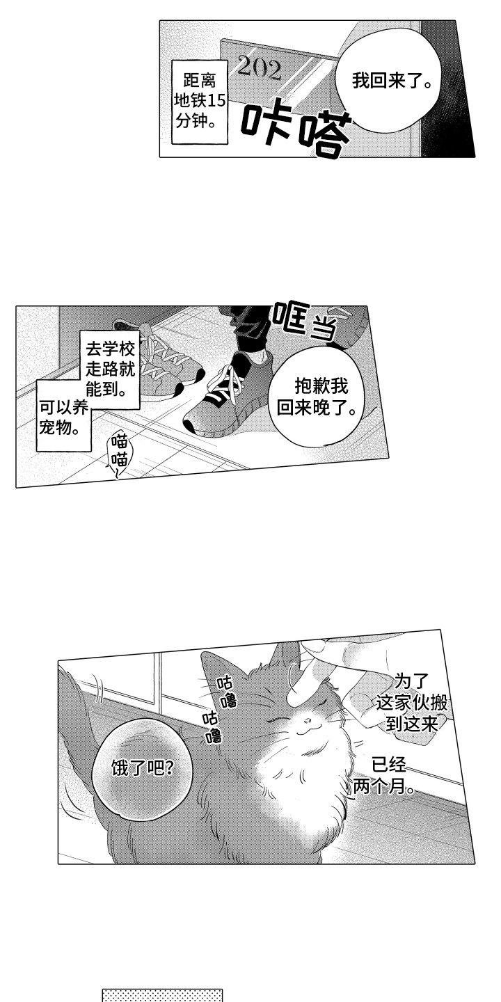 笨狼和聪明兔漫画,第1话2图