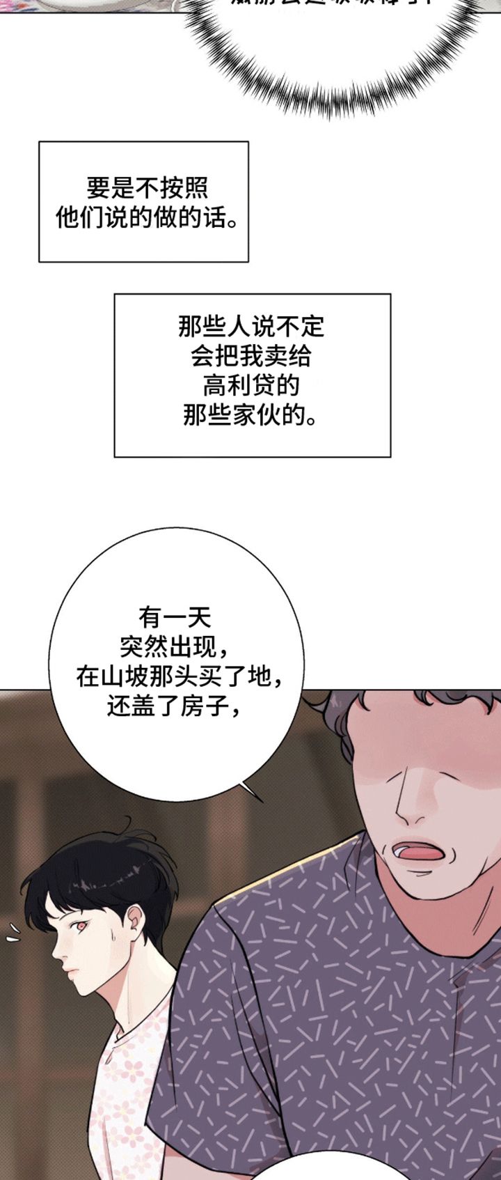 海岛人生小说免费阅读漫画,第5话2图