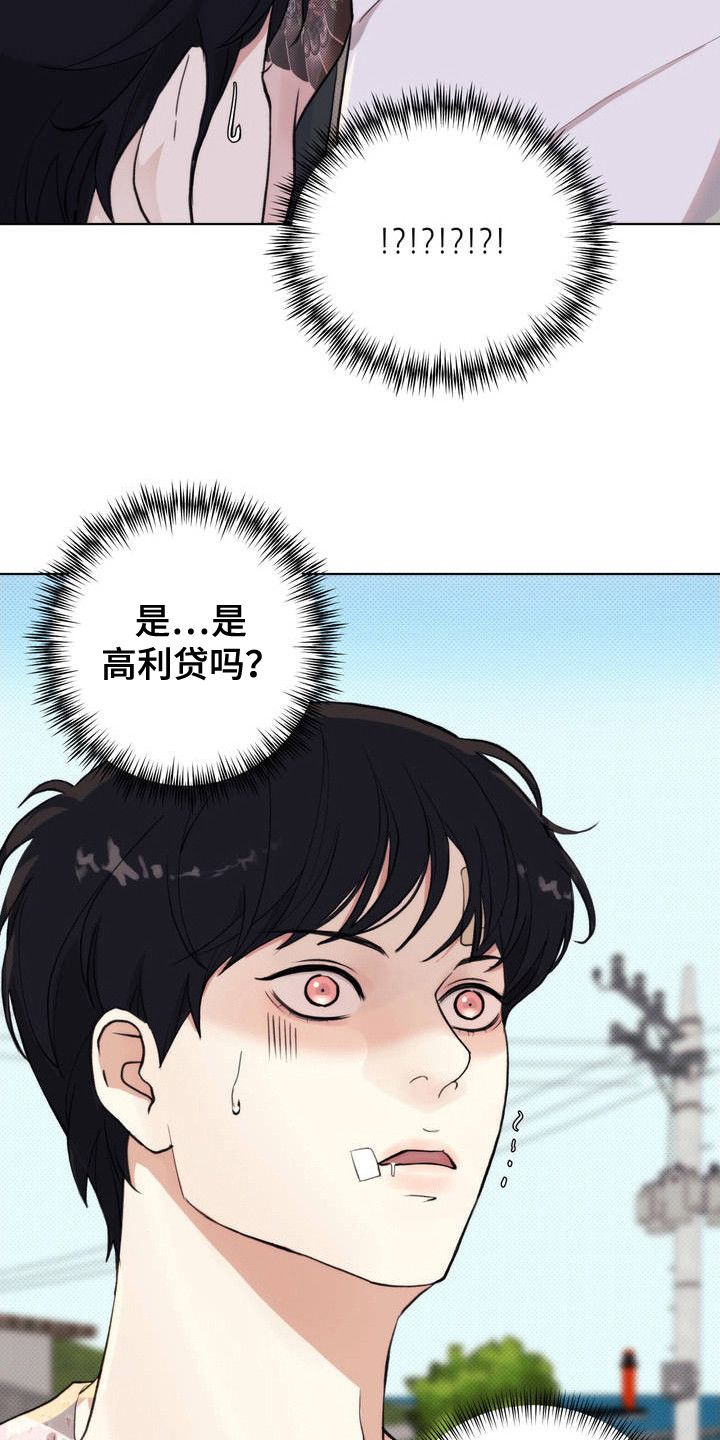 海岛人生小说免费阅读漫画,第2话5图