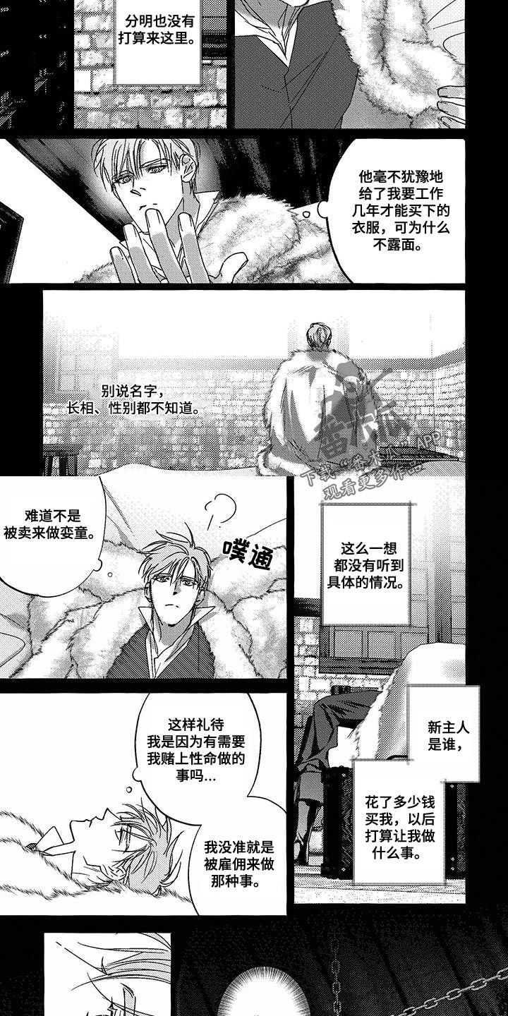 珍珠至宝漫画,第23话2图