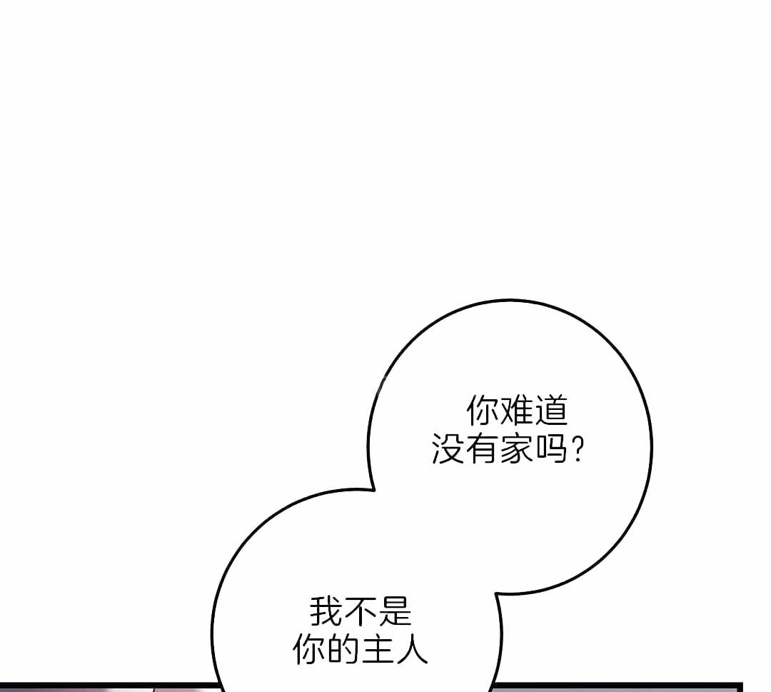 来自深渊第二季下载漫画,第63话1图