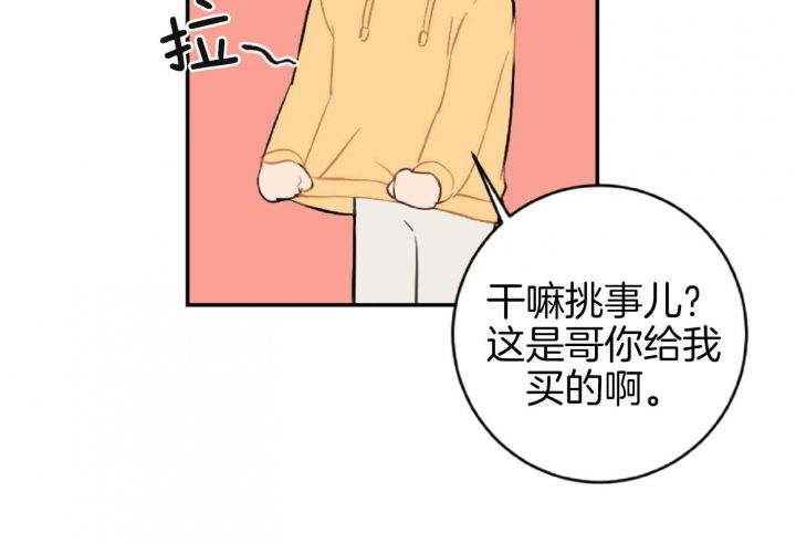 家有男孩初长成音乐漫画,第62话5图