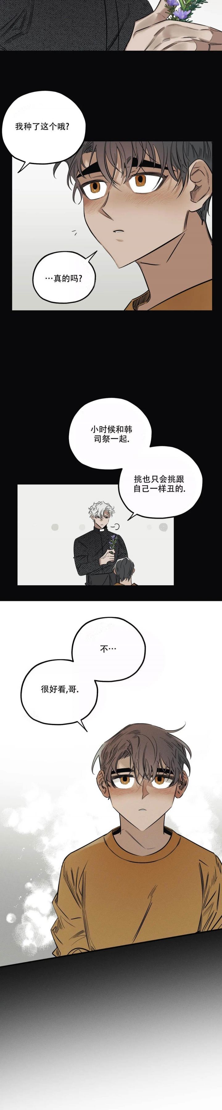 邪花无悔跟天涯什么关系漫画,第9话4图