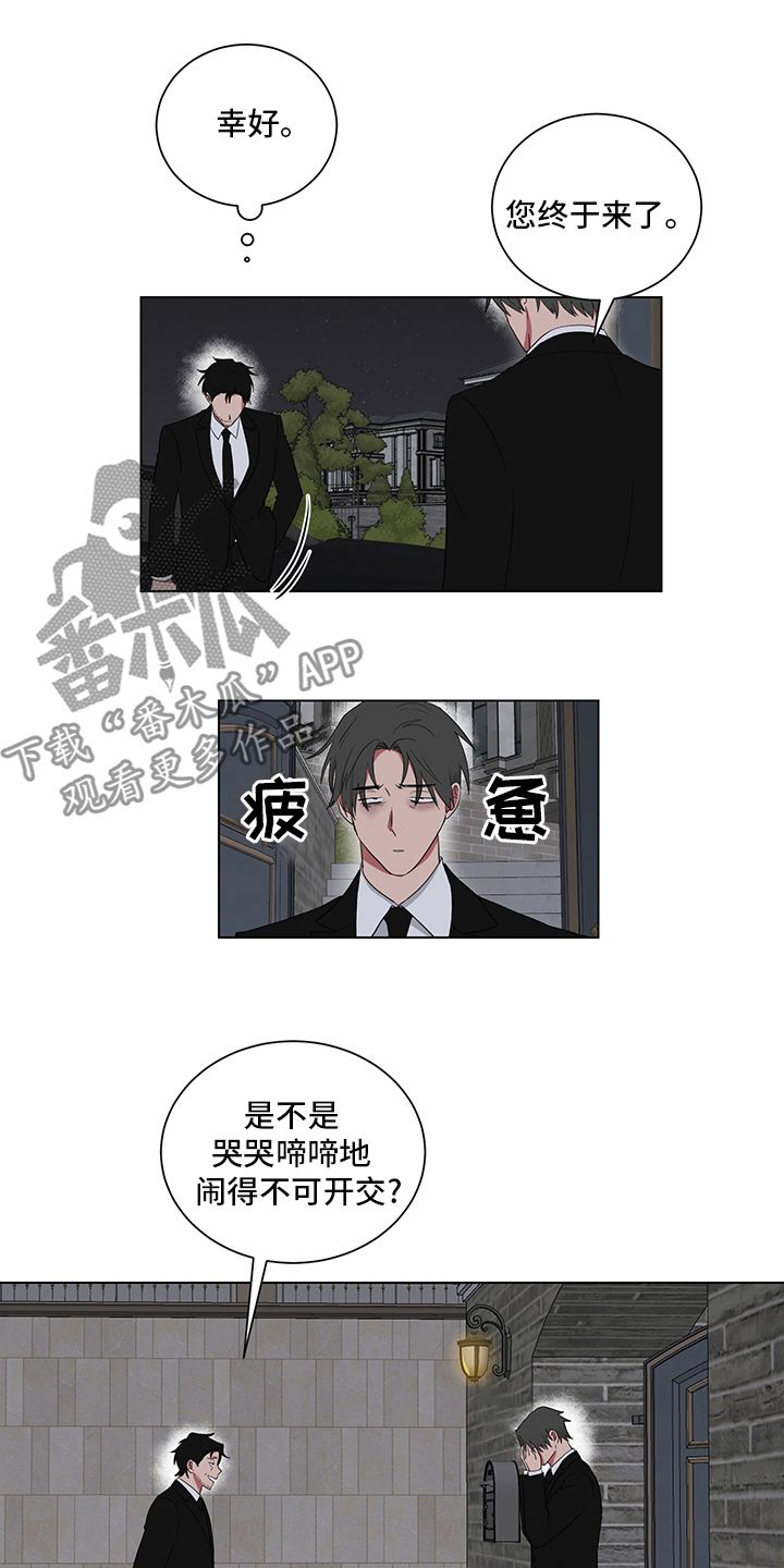 如果你喜欢小猫漫画,第116话2图