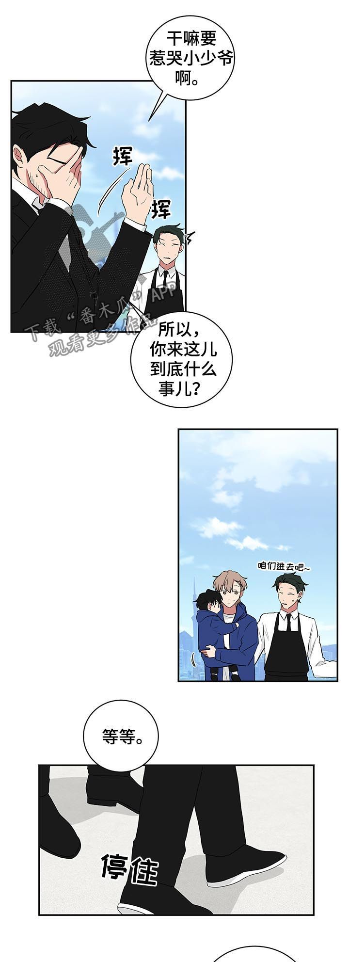 如果你喜欢一匹马你千万不要去追漫画,第71话5图