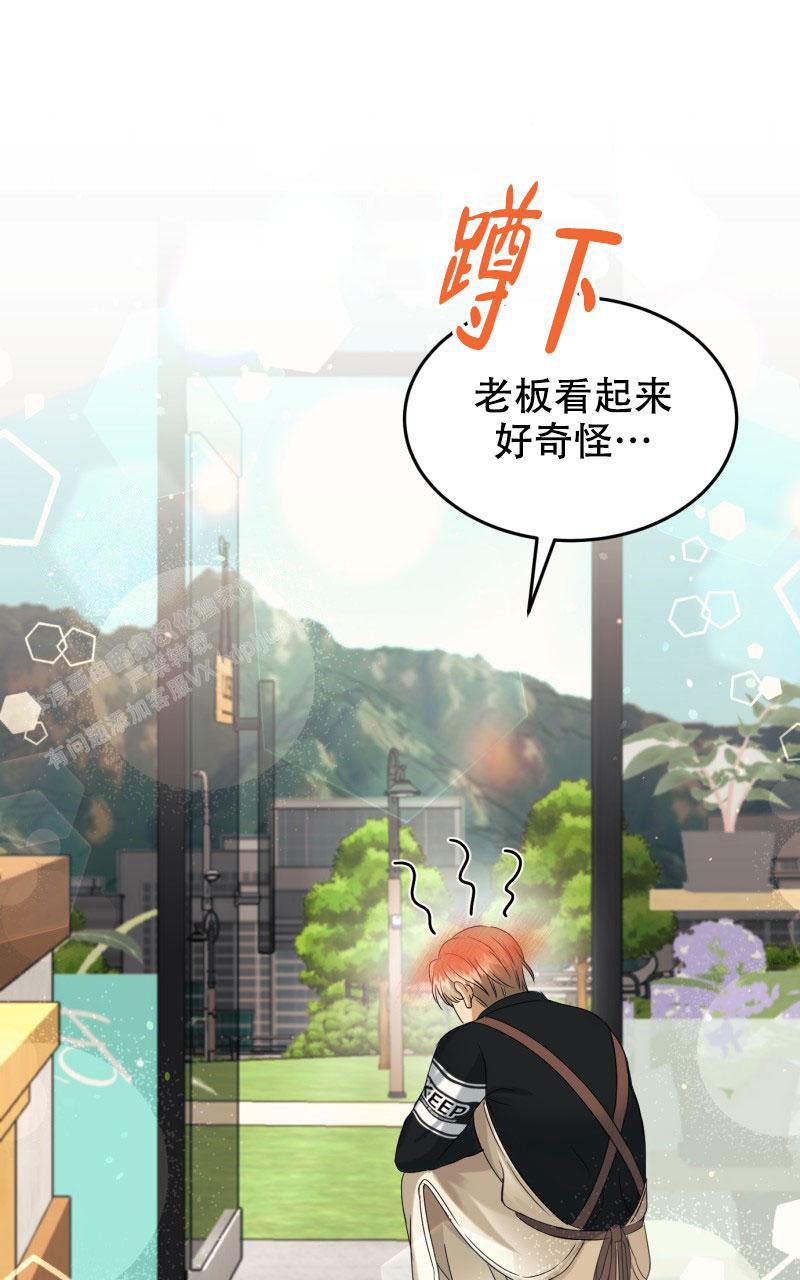 送老板鲜花的祝福语漫画,第4话5图