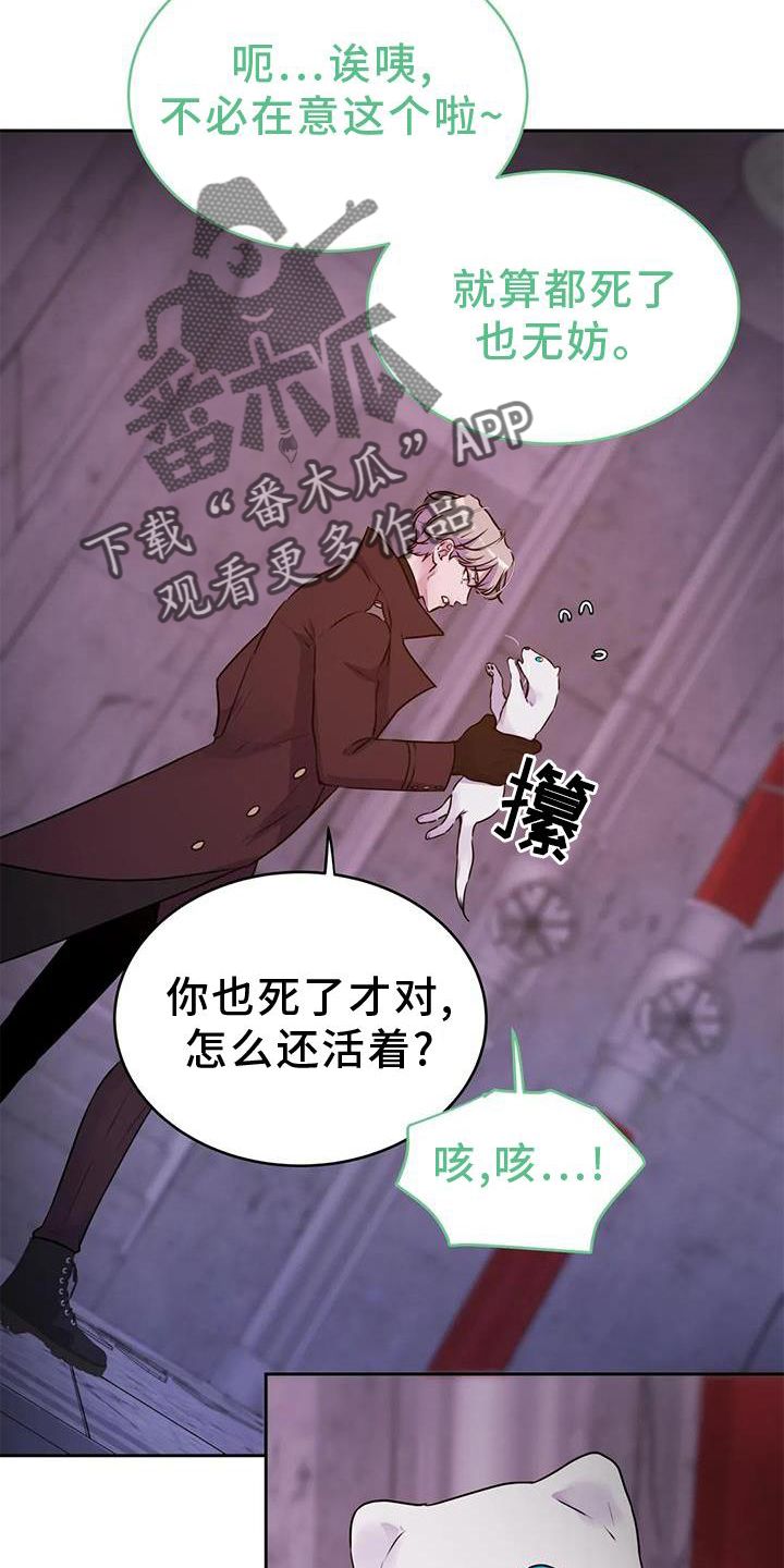 最后的净土韩漫漫画,第37话4图