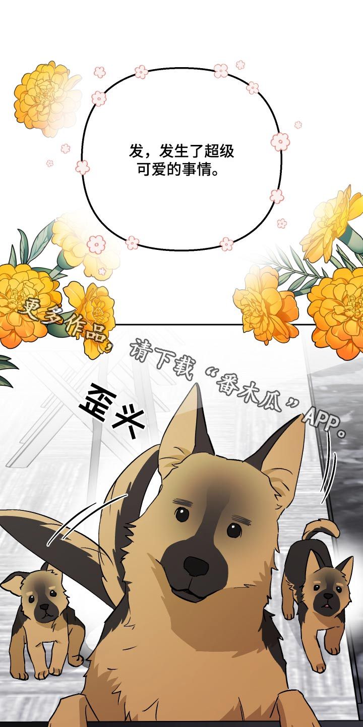 我的爱犬漫画,第102话1图