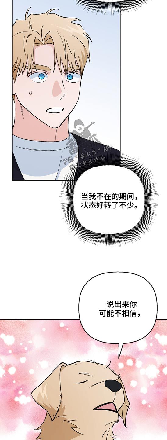 爱犬伴我渡难关是什么生肖漫画,第48话2图