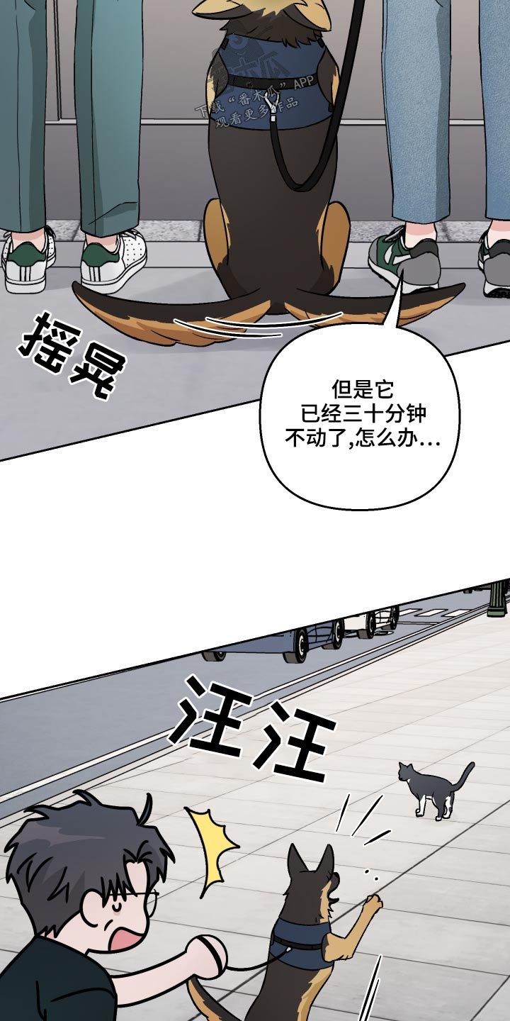 爱犬与主人的关系漫画,第67话1图