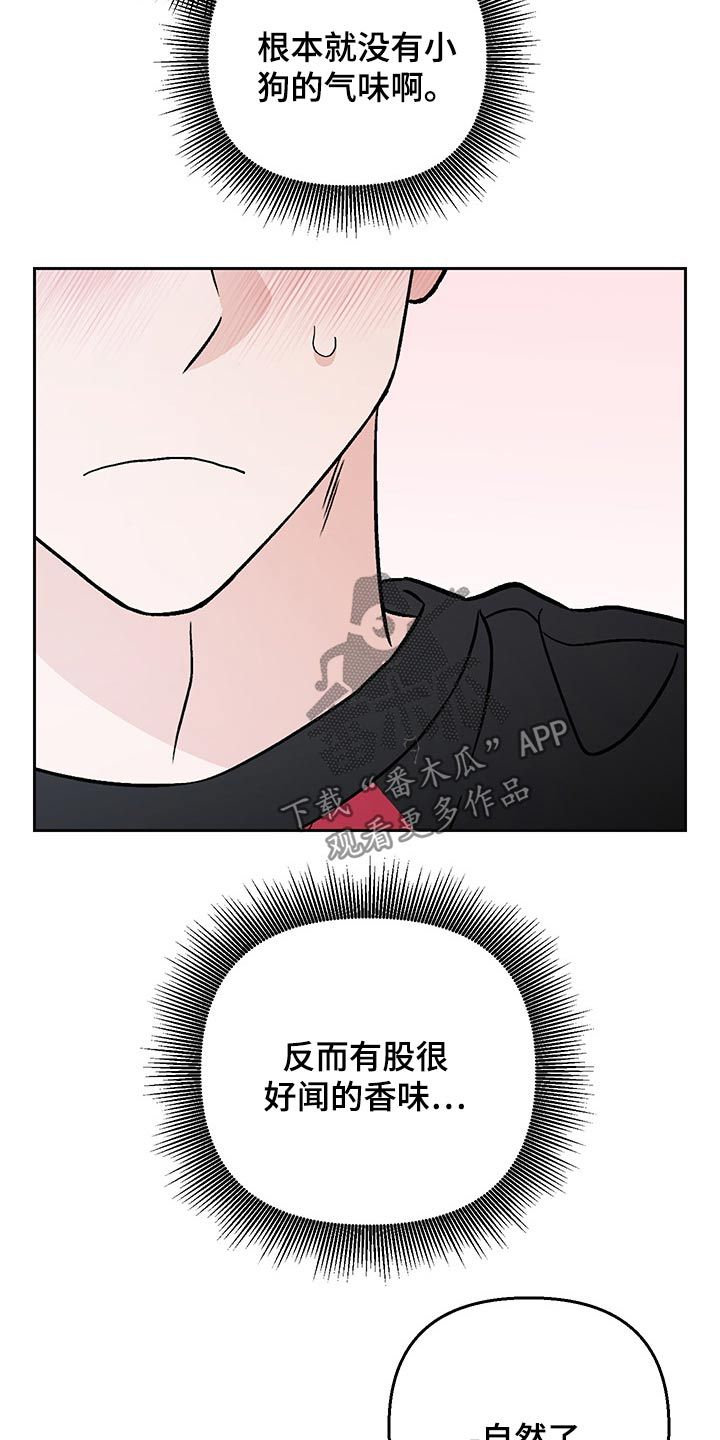 小狗与我漫画,第33话1图