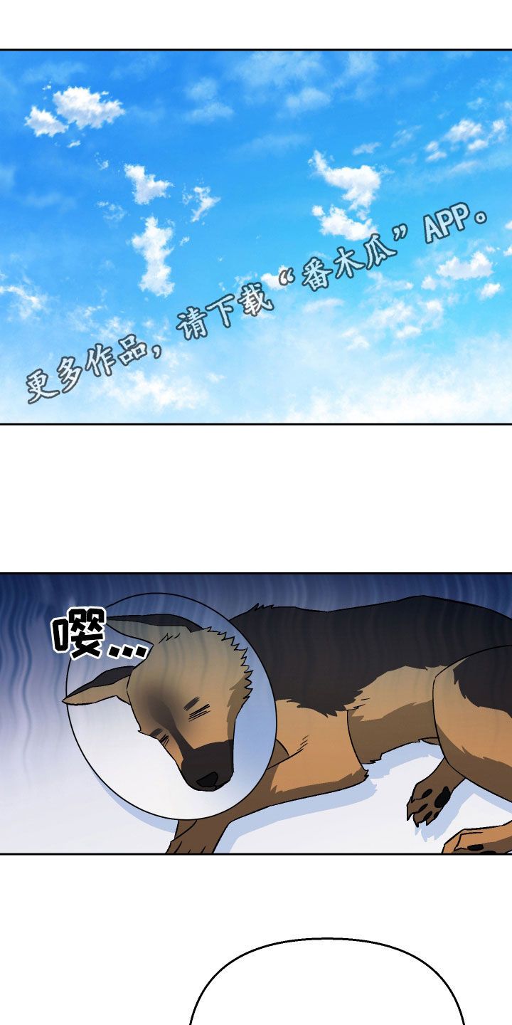 我与爱犬的故事3000字漫画,第146话1图