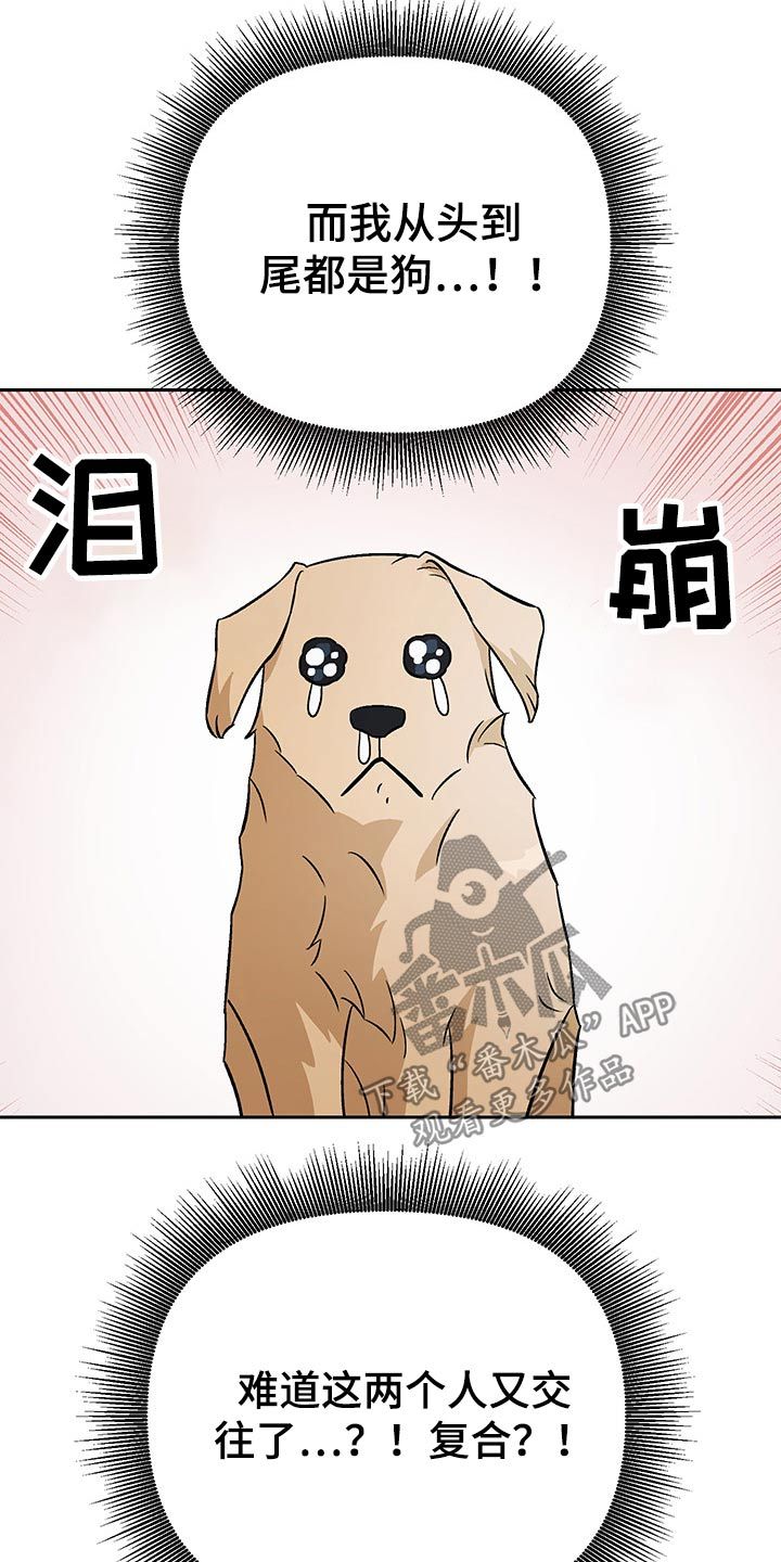 我的爱犬漫画,第32话2图