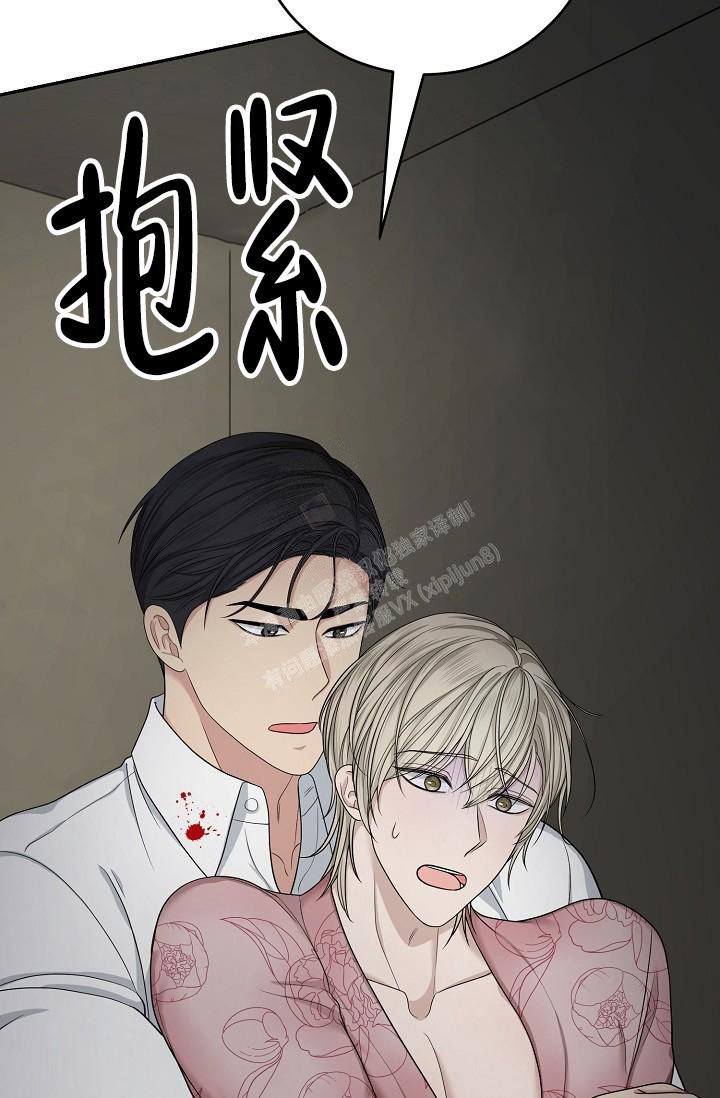 金丝雀纸业官网漫画,第11话3图