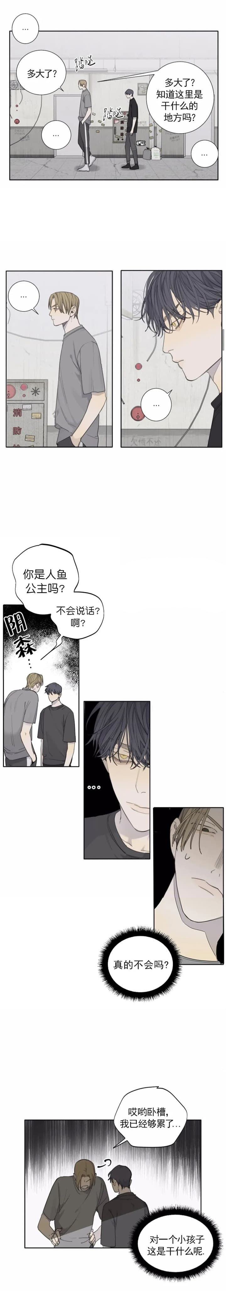 狂犬漫画韩漫第二季出了吗漫画,第37话4图