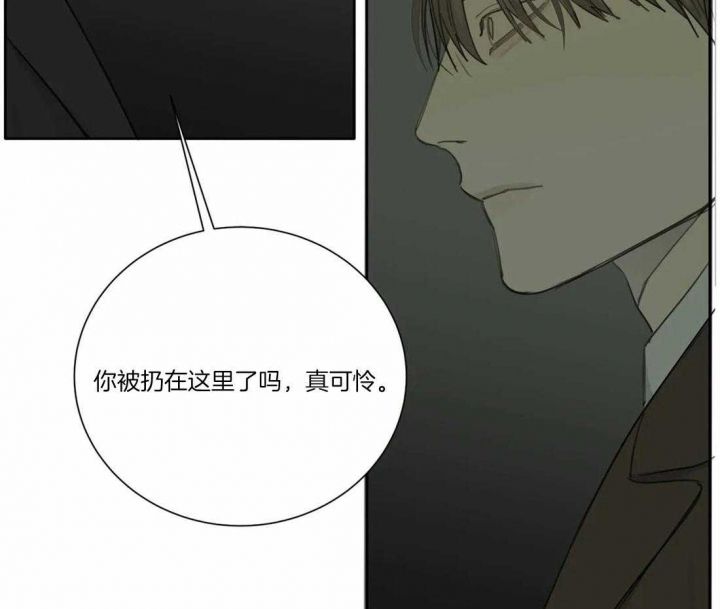 狂犬病mp4下载漫画,第44话3图