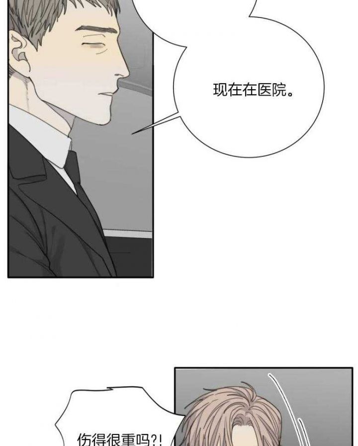 狂犬病 rmvb 下载漫画,第54话3图