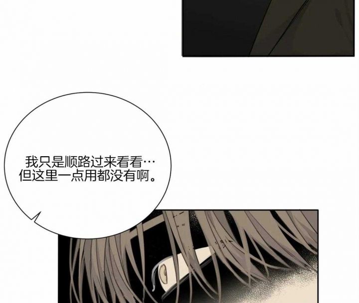 狂犬病mp4下载漫画,第44话4图