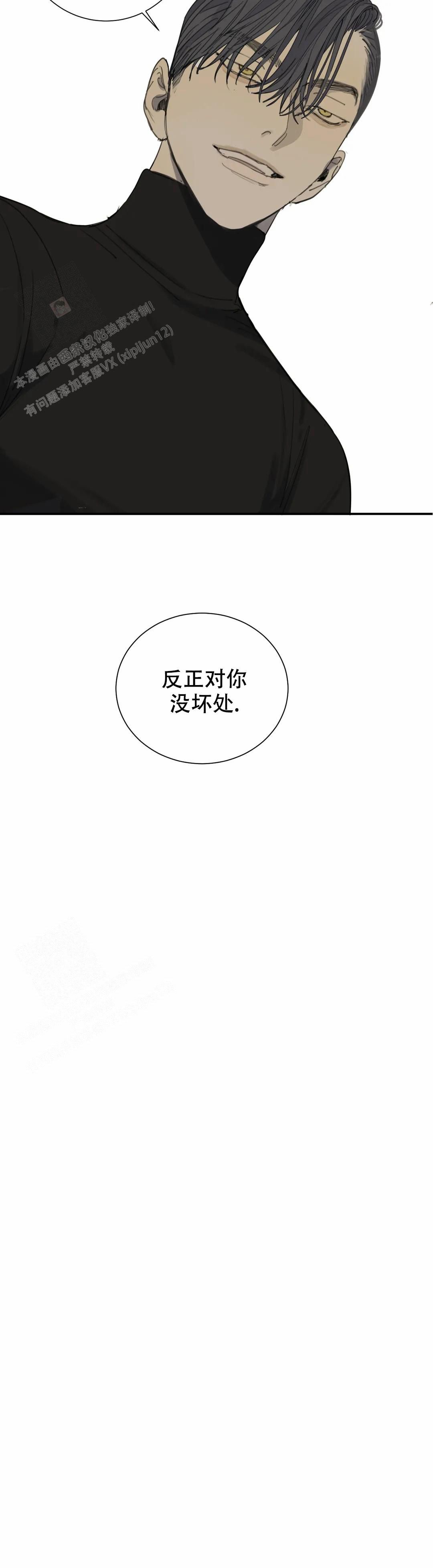 狂犬在线观看漫画,第70话3图