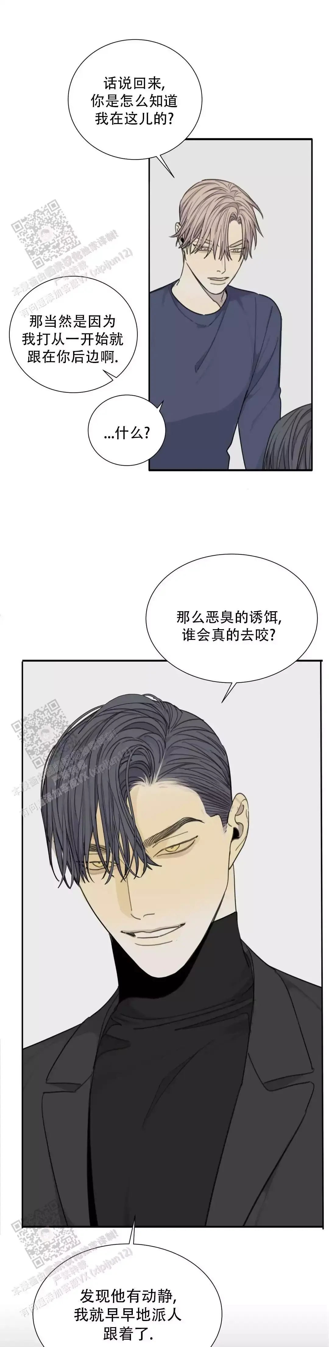 狂犬漫画第二季什么时候出漫画,第81话1图