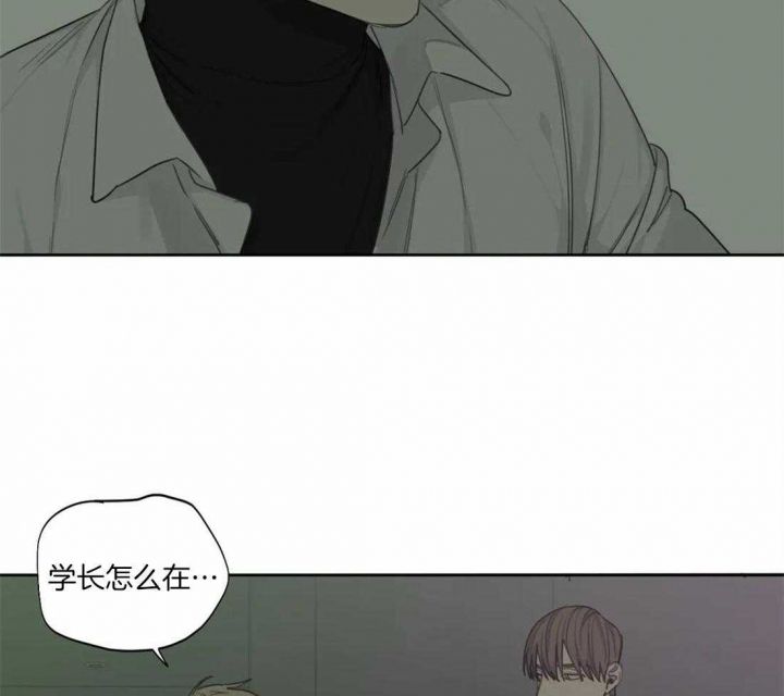 狂犬病完整版下载漫画,第43话2图