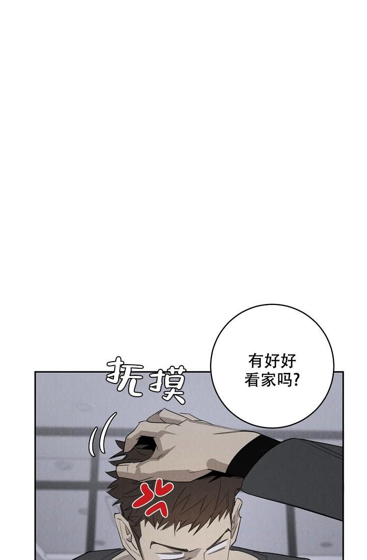 迷失方向打一生肖漫画,第10话1图