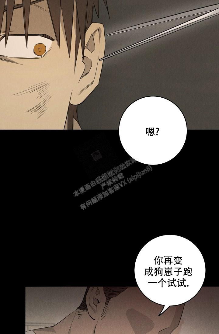 迷失方向的大雁漫画,第9话5图